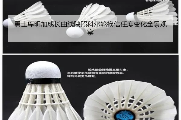勇士库明加成长曲线映照科尔轮换信任度变化全景观察